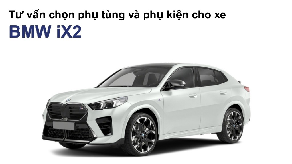 BMW iX2