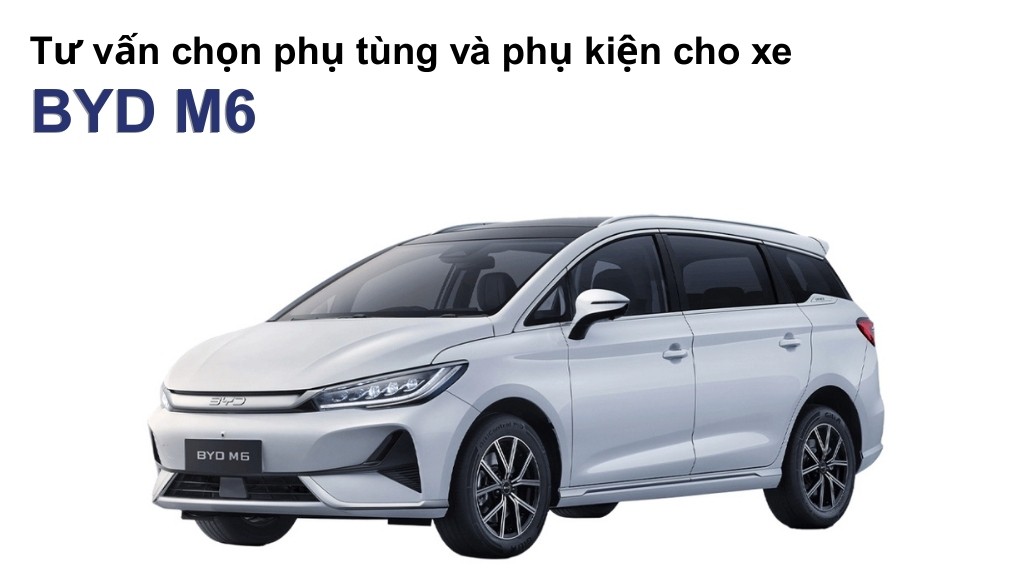 BYD M6